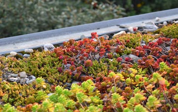 the cost of Tewitfield green roof installation