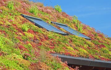 Tewitfield living roof systems