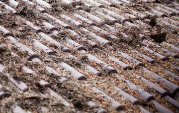 Tewitfield roof cleaning companies