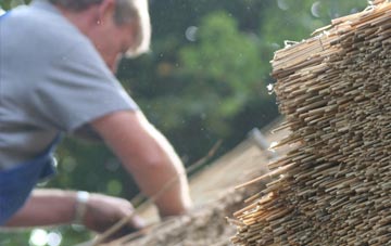 professional Tewitfield thatchers