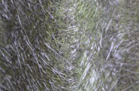 Tewitfield fibreglass roof work